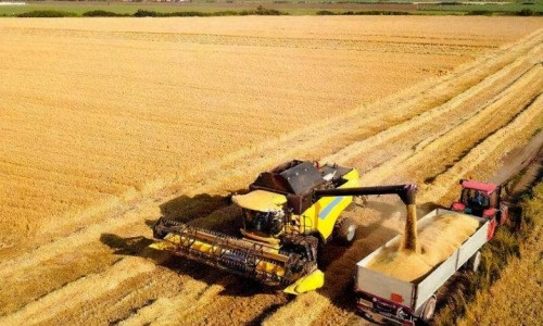 加拿大媒體報道美中貿易緊張局勢令美國農業(yè)界擔憂（環(huán)球時報）